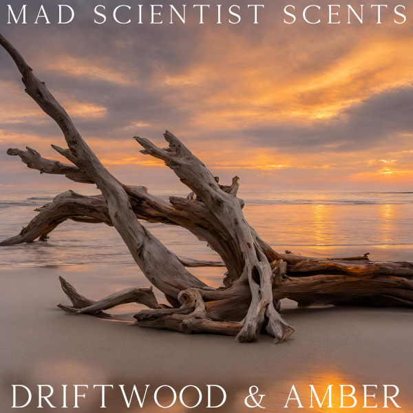 DRIFTWOOD & AMBER - FRAGRANCE OIL