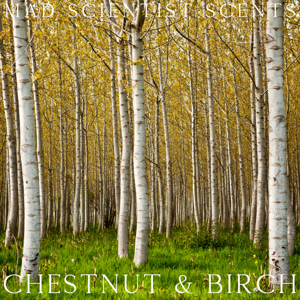 CHESTNUT & BIRCH TYPE - FRAGRANCE OIL