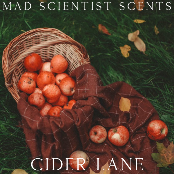 CIDER LANE TYPE - FRAGRANCE OIL