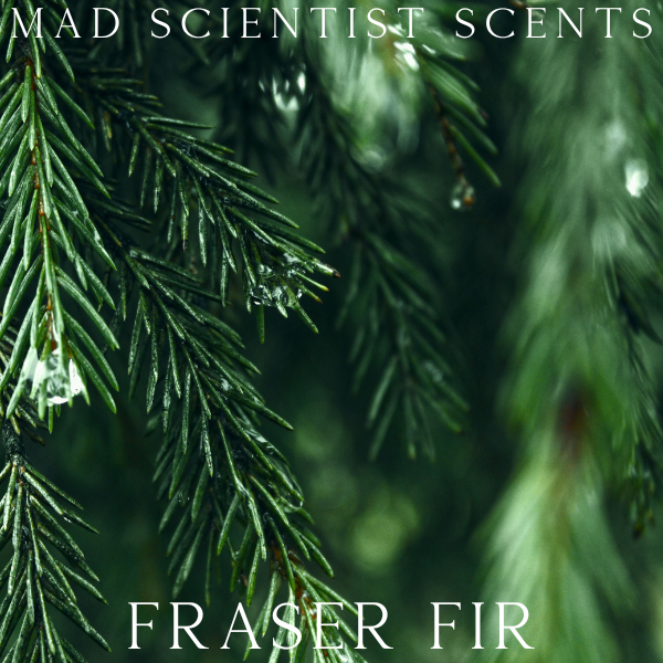 FRASER FIR - FRAGRANCE OIL