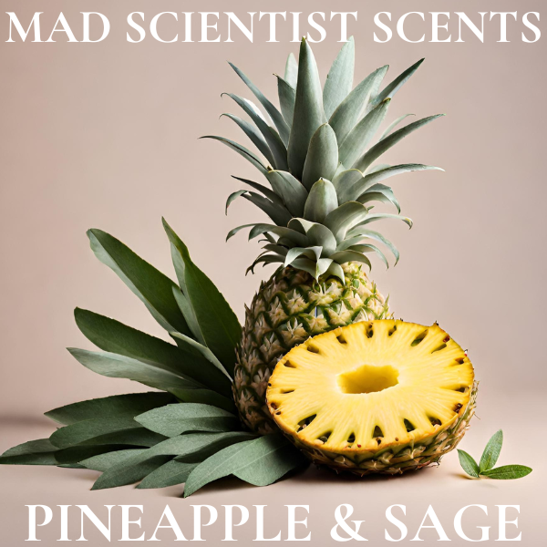 PINEAPPLE & SAGE - FRAGRANCE OIL