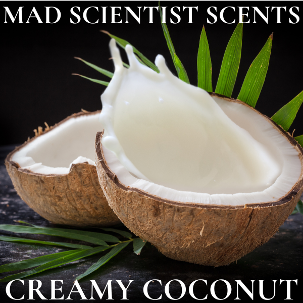 CREAMY COCONUT - FRAGRANCE OIL