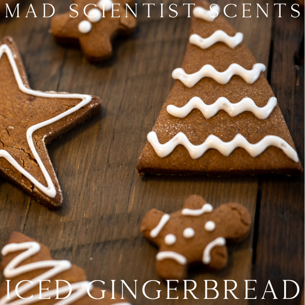 ICED GINGERBREAD - FRAGRANCE OIL