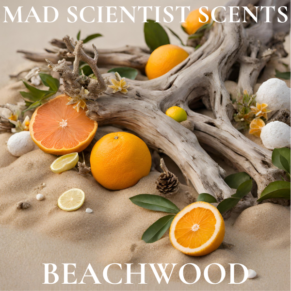 BEACHWOOD - FRAGRANCE OIL