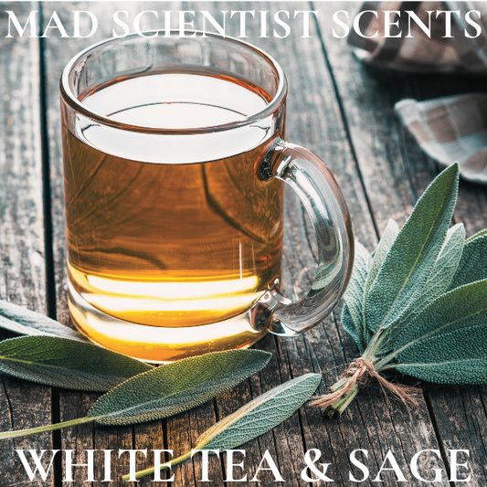 WHITE TEA & SAGE TYPE - FRAGRANCE OIL